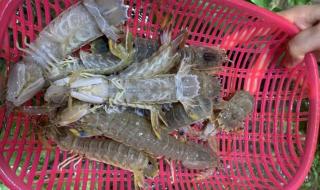 北海哪里吃海鲜便宜