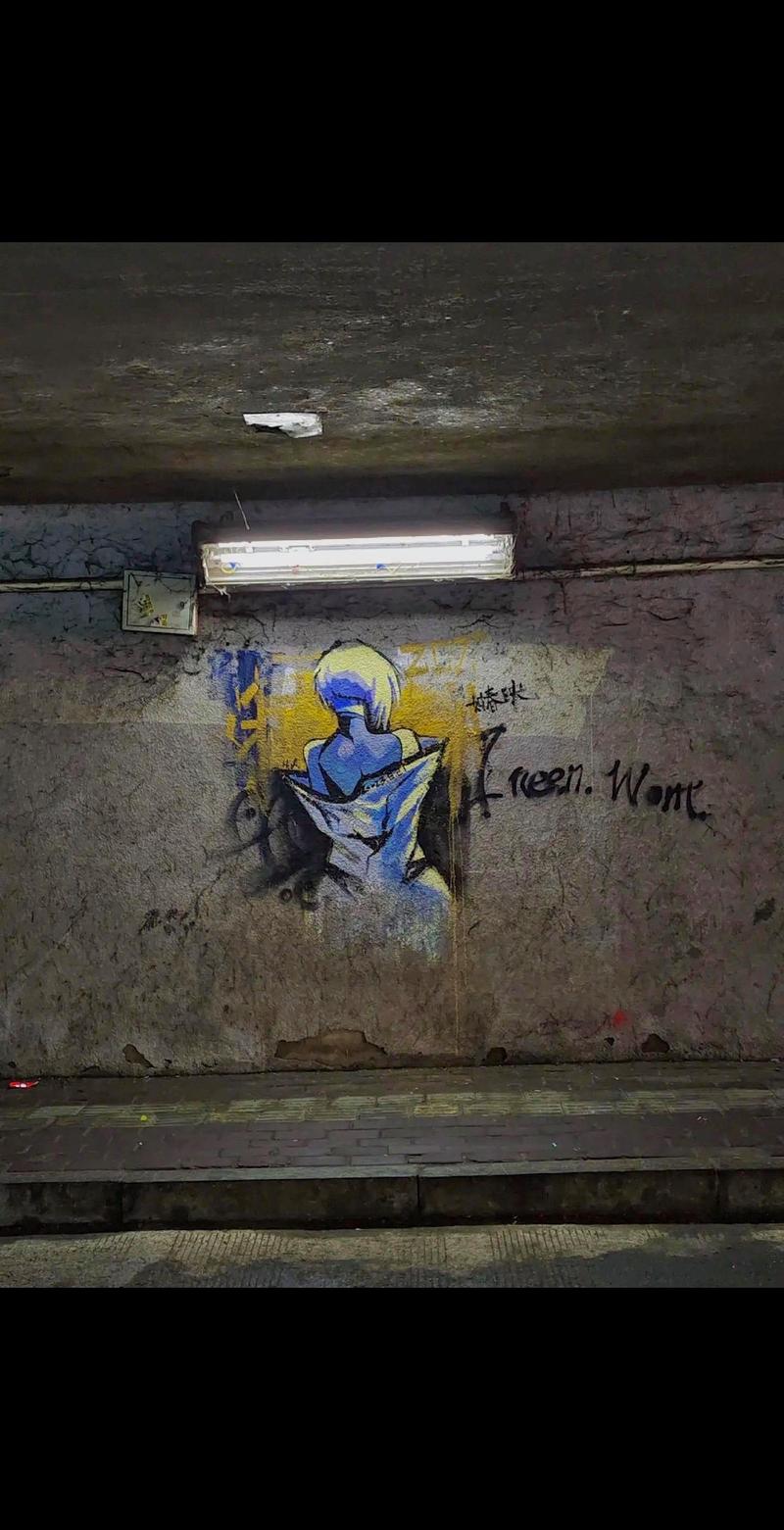 街头涂鸦：城市空间的叛逆美学（街头涂鸦内容）