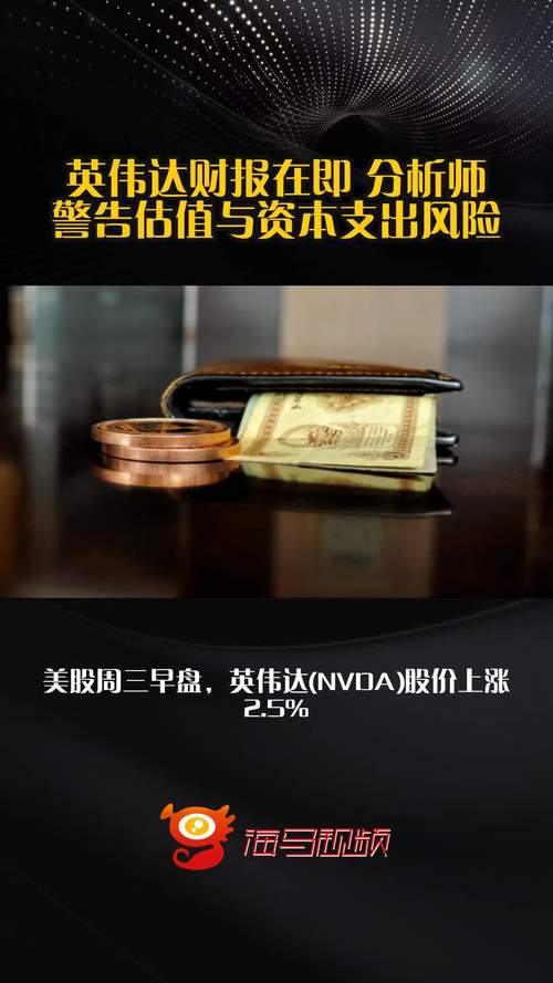 英伟达财报在即 分析师警告估值与资本支出风险