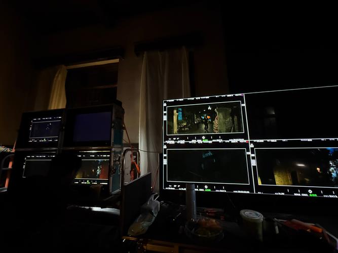 纪录片真实性的边界:摆拍与记录的博弈(纪录片真实性问题)