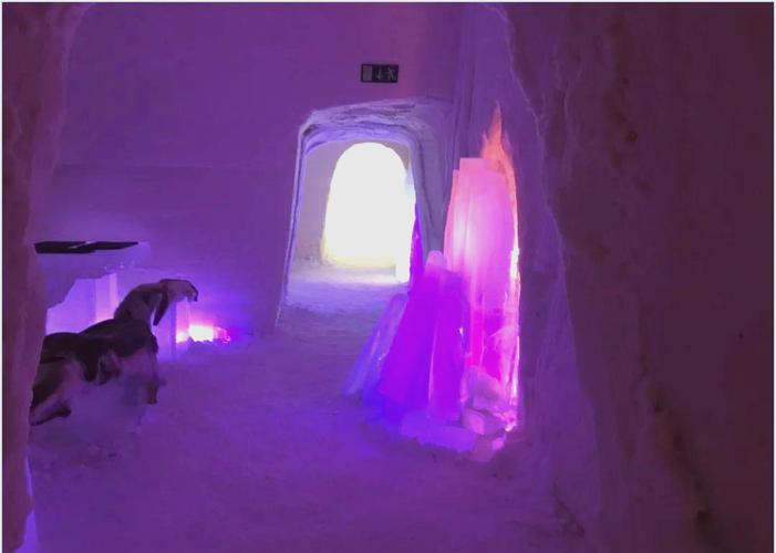 因纽特雪屋的热力学保温结构(因纽特人雪房子)