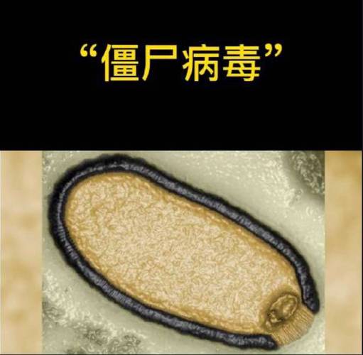 永久冻土中的远古病毒复苏风险(永久冻土层里的远古病毒)