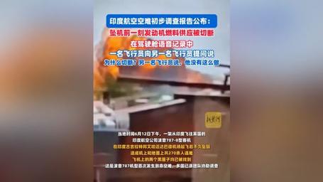 印度民航总局确认有338架飞机受空客软件问题影响