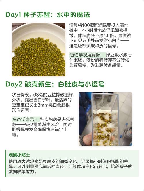 种子休眠期的破壳触发条件(种子休眠破除方法)