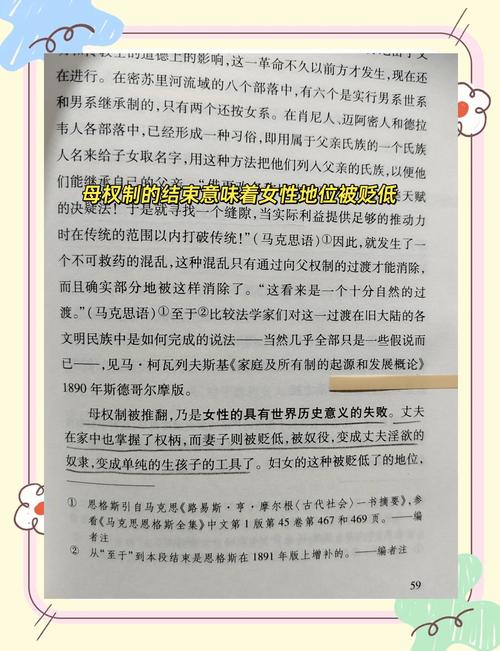 物品传记：我们与财产之间的情感连接（物品传记我们与财产之间的情感连接是什么）