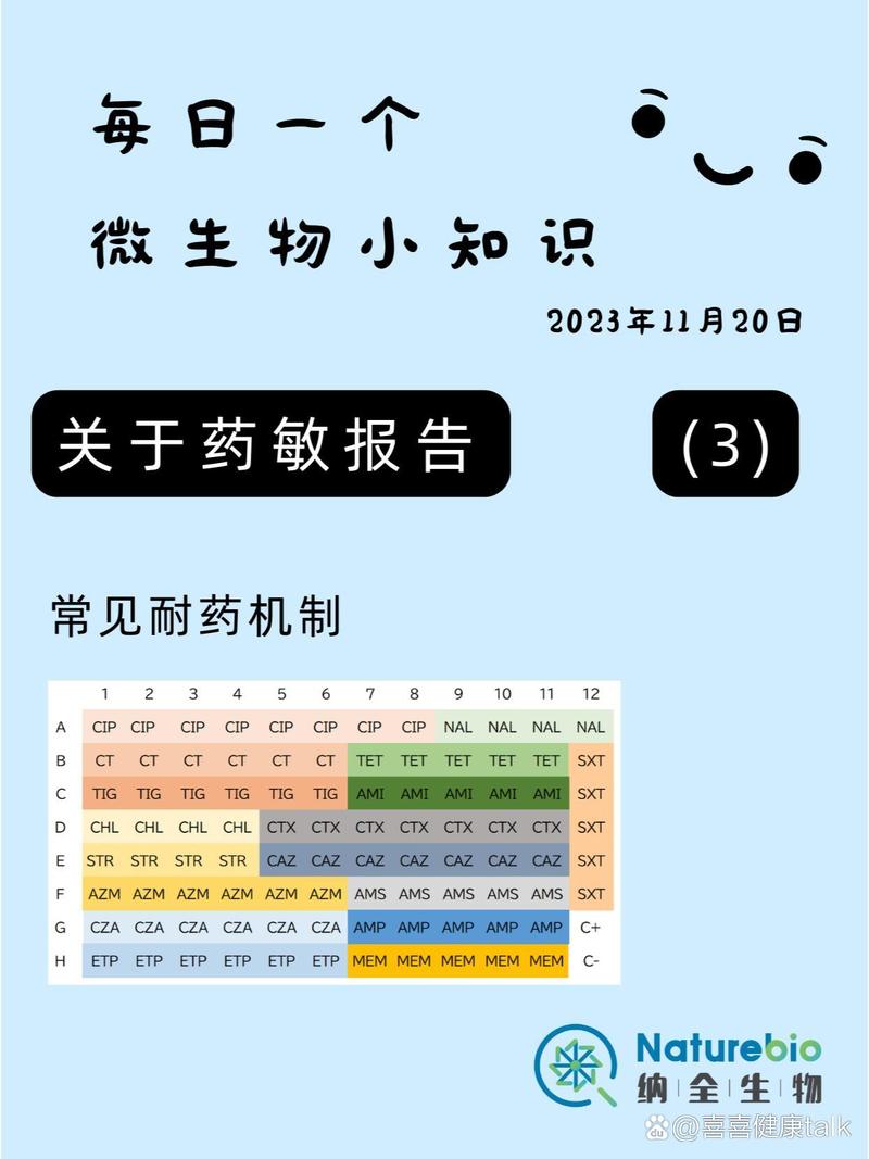 抗菌肥皂的耐药性产生阈值（肥皂杀菌率）