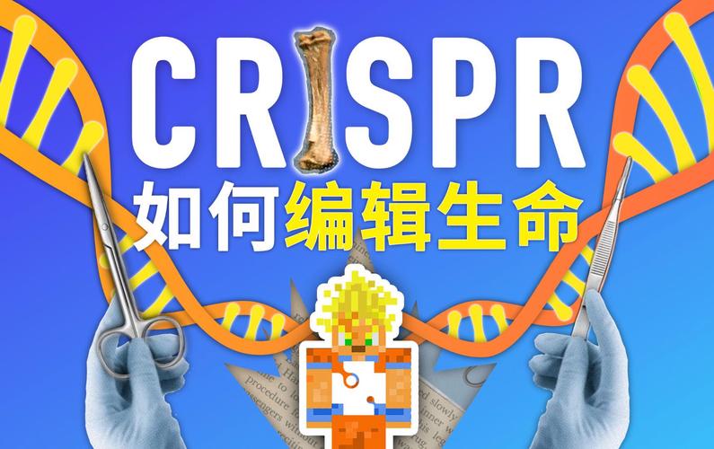 生物公民：基因编辑时代的身份与权利（生物公约）