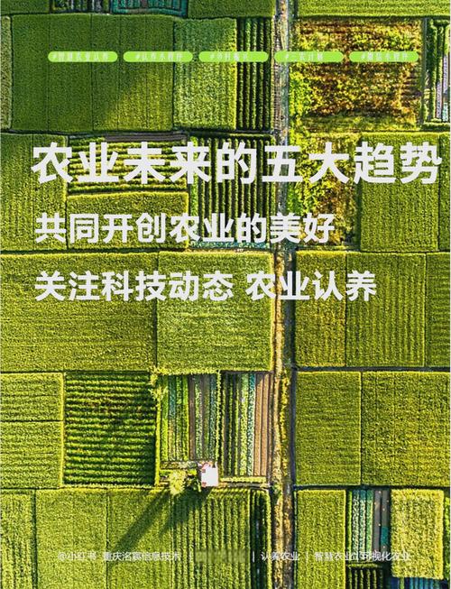 生态农业：传统智慧与现代科技的融合（生态农业技术模式与发展趋势）