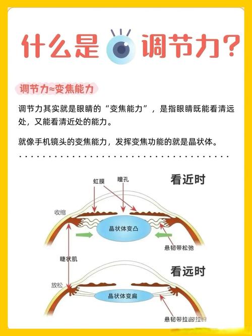 眼球微颤对视觉稳定的作用（眼珠微颤）