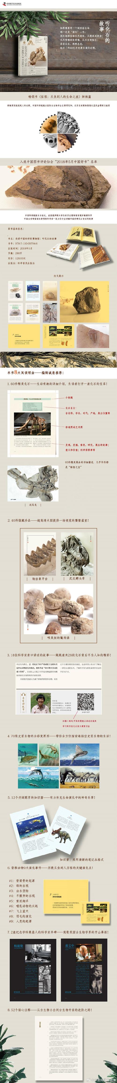 化石森林的硅化替换过程（化石的硅化作用）