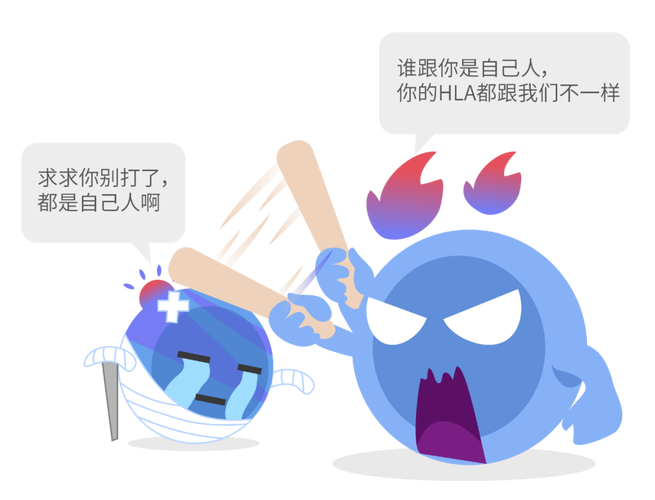 器官移植的HLA配型关键点（hla 器官移植）