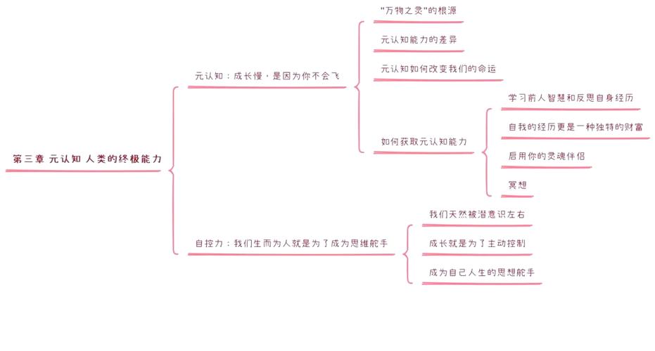 元认知：开启思维的“后台模式”的简单介绍