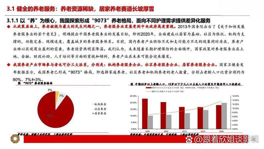 老龄化社会：银发经济的机遇与挑战（银发时代,谁为我们养老人口老龄化）