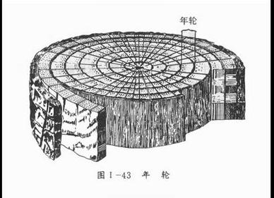 年轮气候记录的同位素分析（年轮和气候）