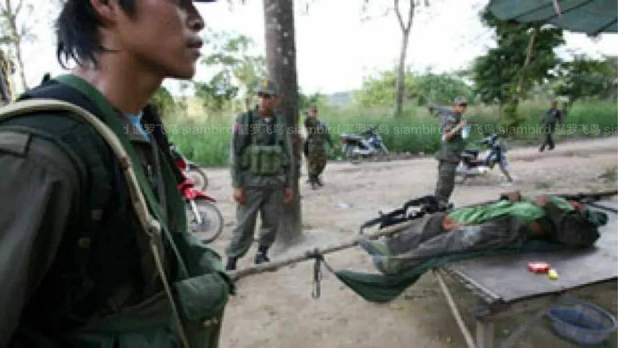 泰国与柬埔寨宣布停火 结束持续数周的冲突