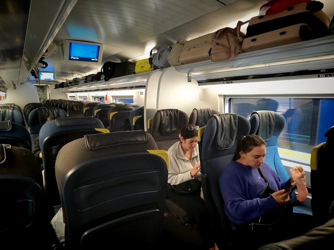 欧洲之星因供电故障被迫暂停伦敦列车服务