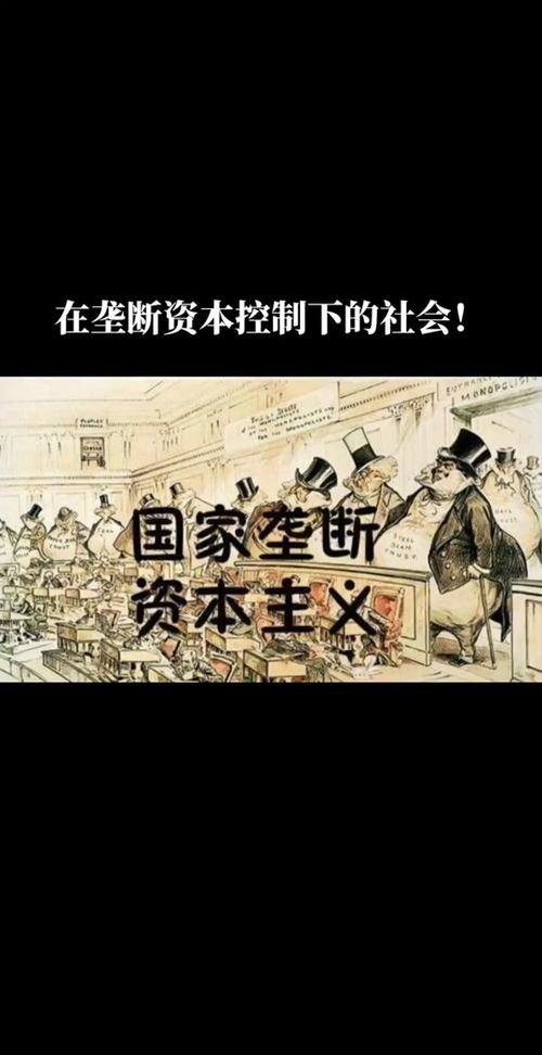 平台资本主义：双面经济的新规则（平台资本主义百度网盘）