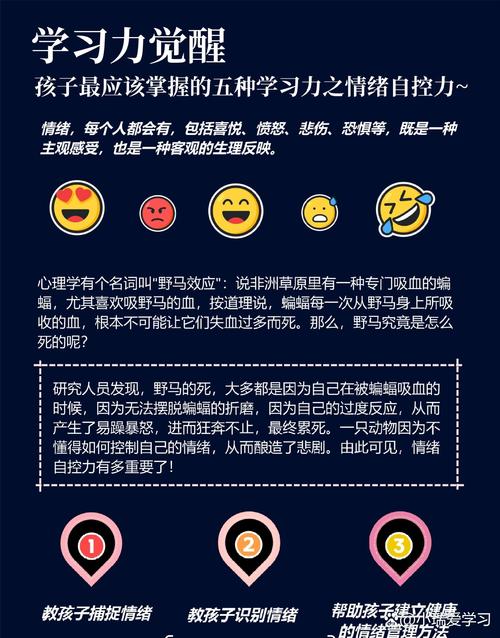 自主学习者：在没有外部压力下持续成长的心态（没有自主能力的人）