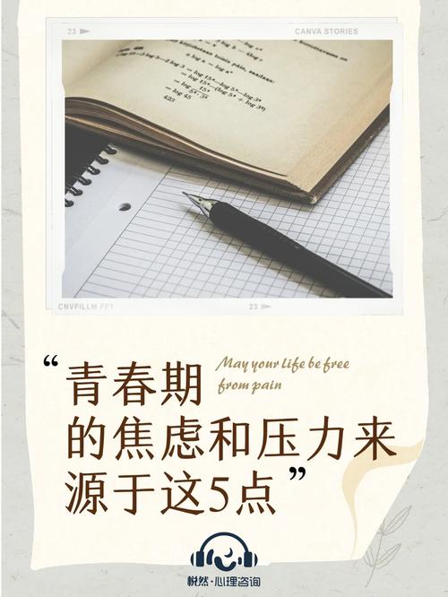 压力转化：焦虑背后的成长契机（压力和焦虑的来源）