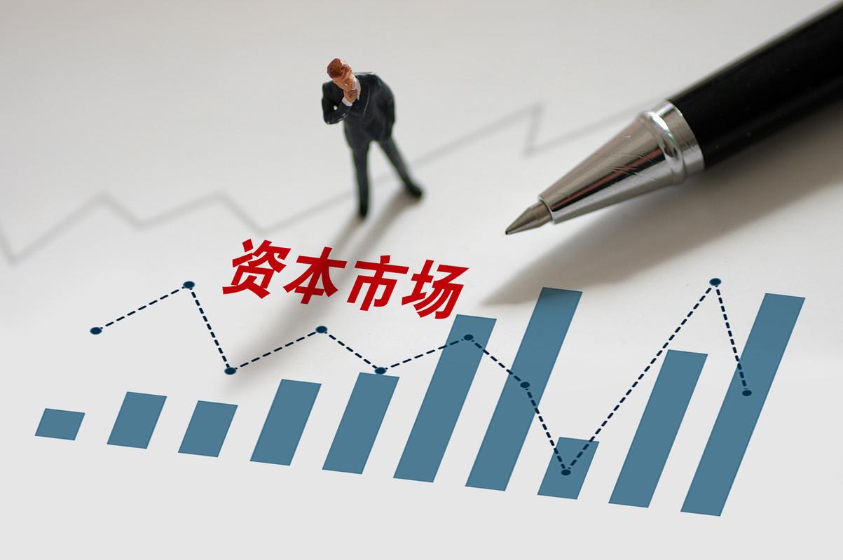 证监会副主席：没有融资功能 资本市场服务实体经济就无从谈起