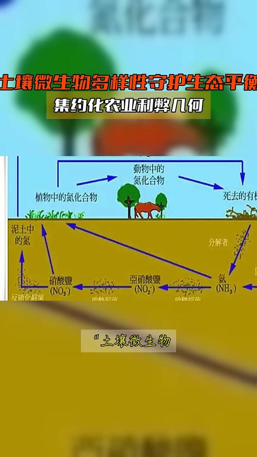 能源危机给一群农业微生物带来“救赎机会”
