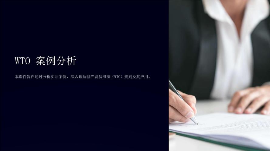 案例分析PPT(案例分析PPT模板)