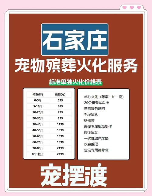 宠物殡葬服务需要什么资质(宠物殡葬行业需要什么手续)