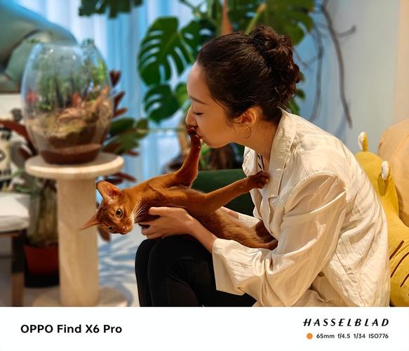 oppo手机摄影大赛(2020手机摄影大赛图片要有人物)