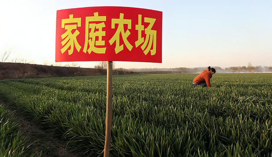 家庭农场注册资金多少合适(家庭农场的注册资金对自己有多大影响)