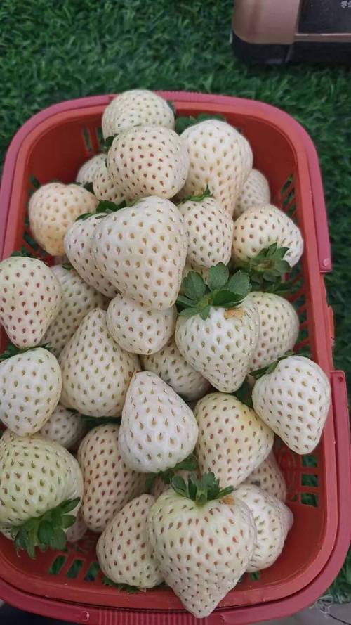 家庭农场注册资金多少合适(家庭农场的注册资金对自己有多大影响)