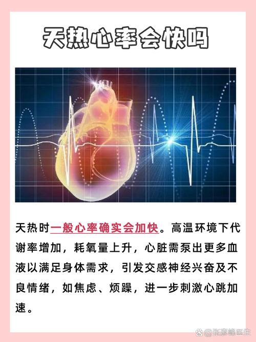 高温天气心血管防护注意事项(高温为啥易犯心血管病)