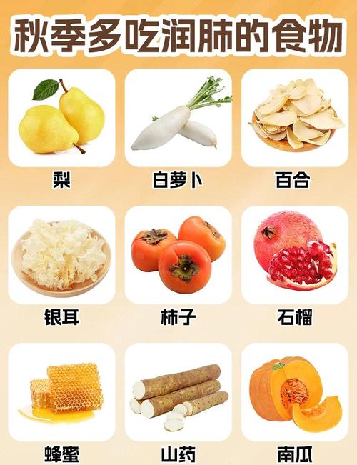 润燥之力最强的食物（润燥吃什么食物）