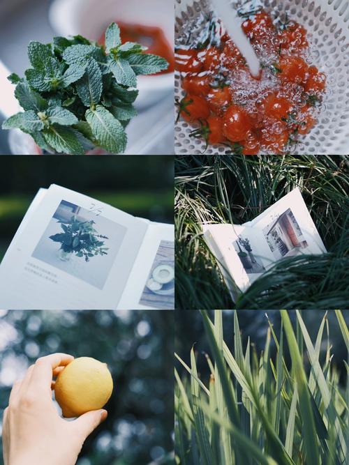 醒图滤镜教程清透感（醒图滤镜分享）