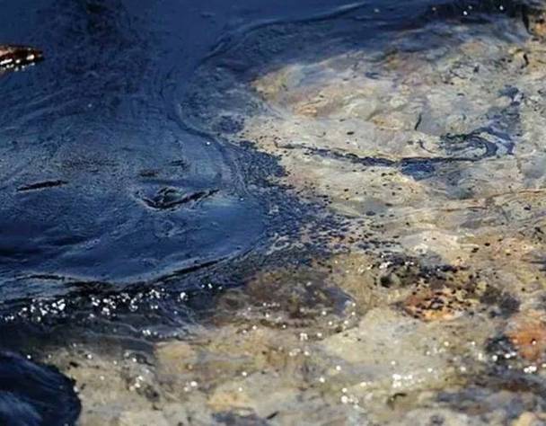 特朗普:美国有能力摧毁哈尔克岛的石油设施