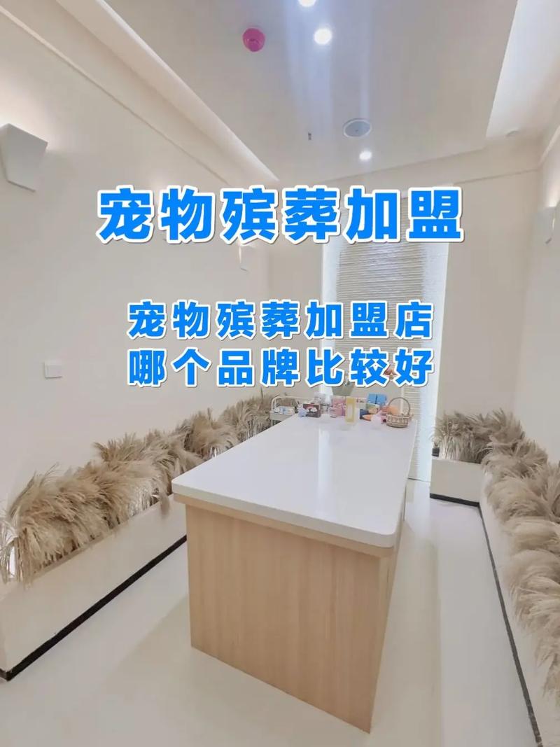 宠物殡葬服务加盟投资多少钱（开宠物殡葬赚不赚钱）