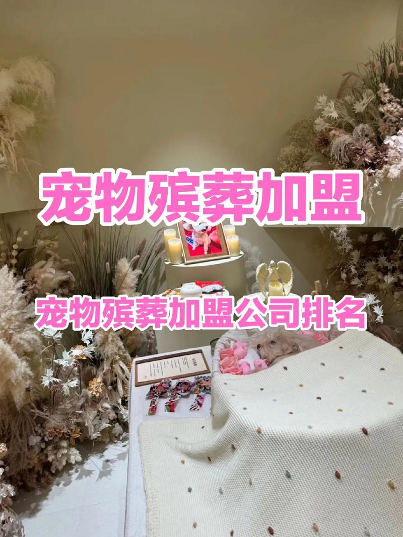 宠物殡葬服务加盟投资多少钱（开宠物殡葬赚不赚钱）