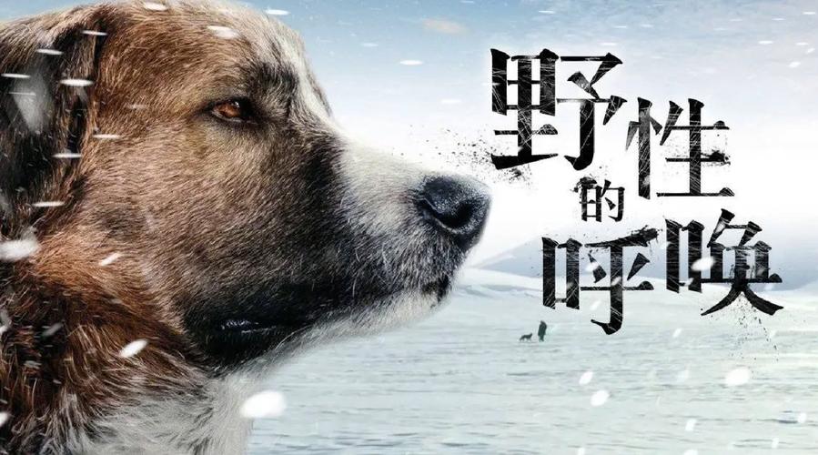 呼唤生活电影免费观看完整版高清(呼唤生活电影免费观看完整版高清中文)