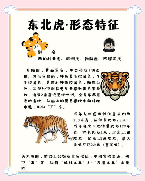 2025年秋老虎有多少天(秋老虎的顺口溜)