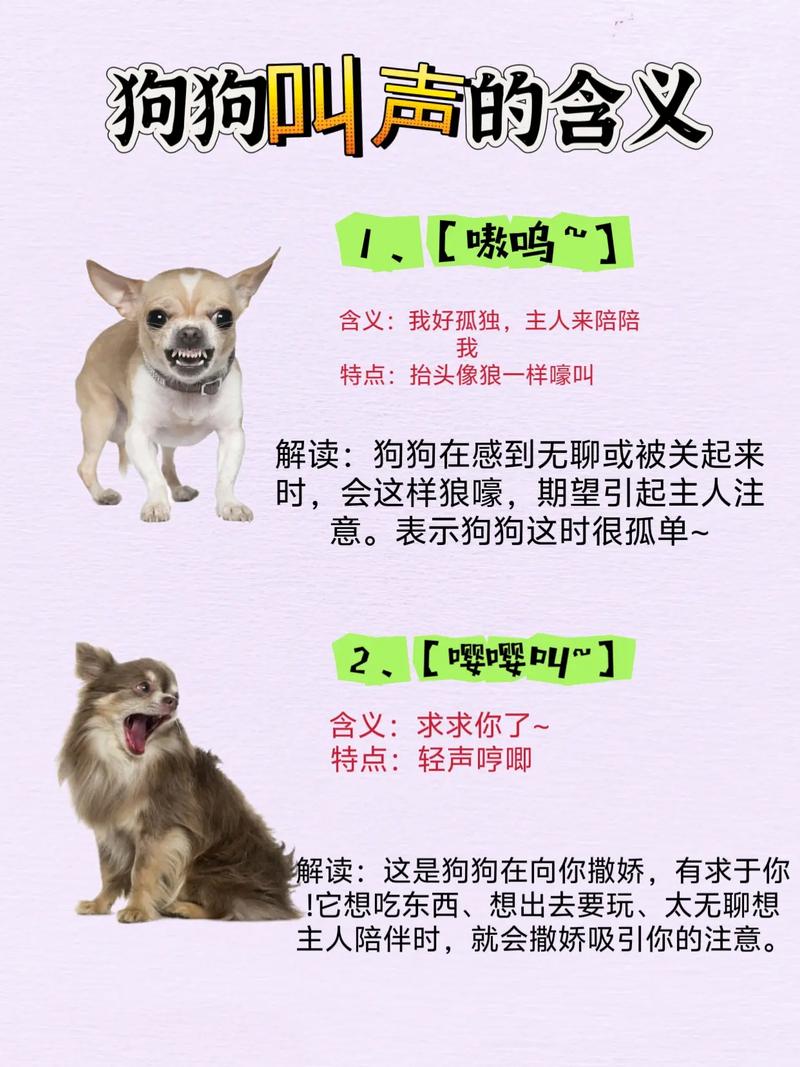 呼唤的意思最佳答案（呼唤的意思解释）