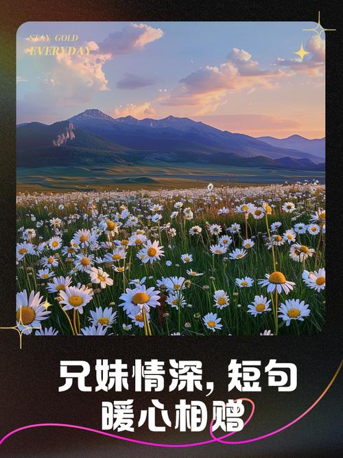 深情厚谊还是深情厚意（深情厚谊还是深情厚意好）