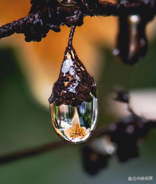 首届全国手机摄影大赛(全国手机摄影比赛)