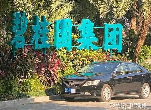 暴雷重组后的碧桂园宣布盈利，杨惠妍的“二次创业	”计划迎关键拐点