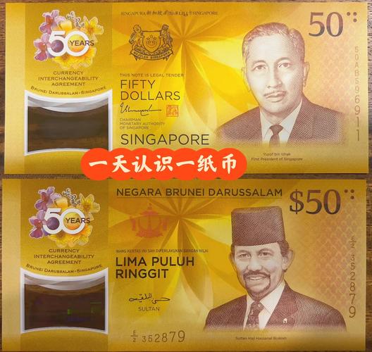 新加坡货币上的人是谁（新加坡 货币）