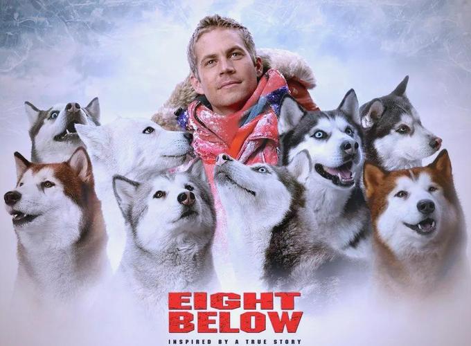 深情厚谊免费观看（深情厚谊免费观看电影）