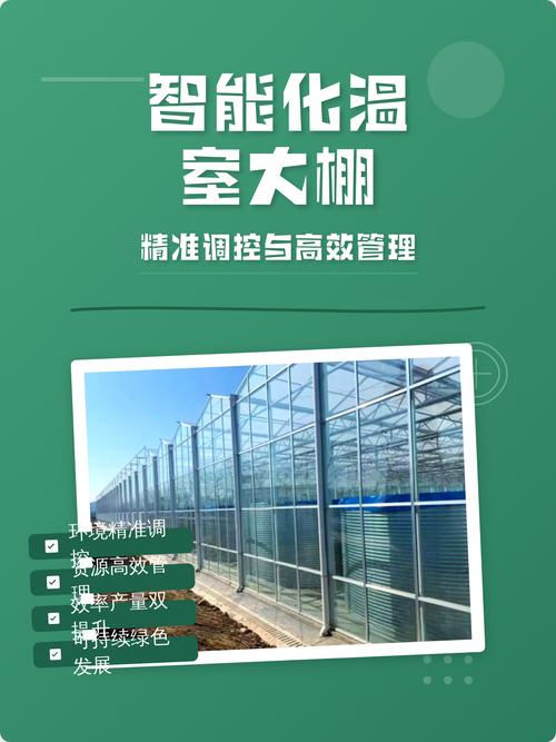 大棚种植技术与管理（大棚种植技术与管理培训内容）