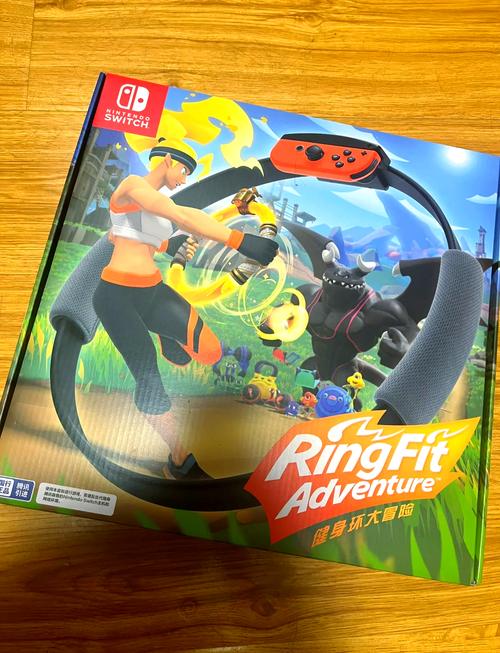 switch健身环大冒险可以两个人一起玩么（switch健身环大冒险有几个游戏）