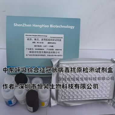 中东呼吸综合征冠状病毒（中东呼吸综合征冠状病毒核酸试剂）