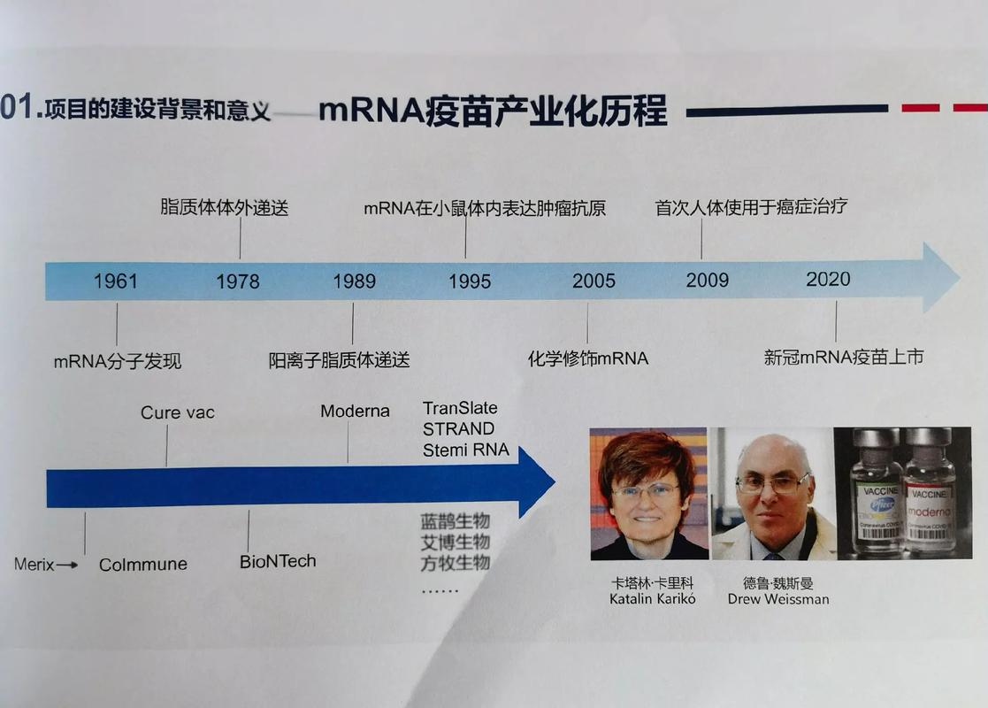 mRNA疫苗最新进展（mrna疫苗介绍）