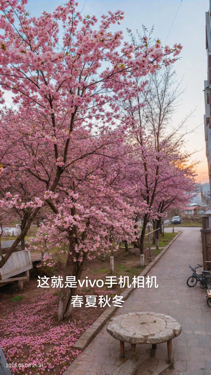 2025vivo手机摄影大赛（2025vivo手机摄影大赛获奖作品）