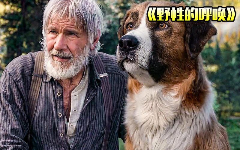 呼唤生活电影完整版观看高清（呼唤生活电影完整版观看高清下载）